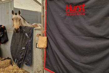 Smartie - 6th Pony 1.10m stabled at Adddington